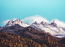 【英超】韦尔纳助攻亚伯拉罕 切尔西客场2比0胜纽卡